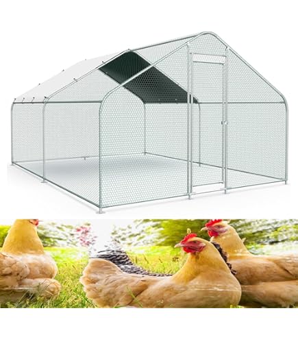 Amazon | Dtyubfg 屋外鶏小屋耐候性大型 鶏かご 6羽の鶏用の